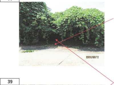 徳島県吉野川市 西麻植駅11分 一戸建て 584万円の競売物件 #35