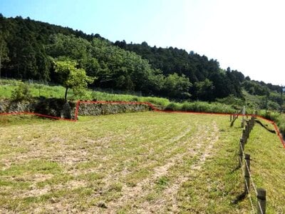 (値下げ) 静岡県賀茂郡西伊豆町 農地 38万円の国有財産物件 #1