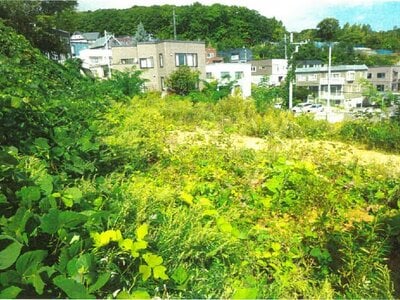 北海道札幌市西区 宮の沢駅20分 土地 1,759万円の競売物件 #2