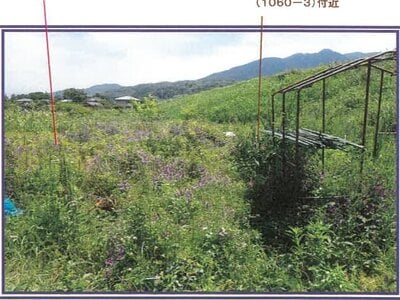 山梨県西八代郡市川三郷町 市川大門駅13分 農地 89万円の競売物件 #8