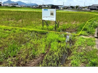 香川県丸亀市 讃岐塩屋駅13分 農地 160万円の国有財産物件 #1