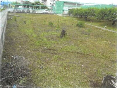 長野県長野市 今井駅14分 農地 44万円の競売物件 #1