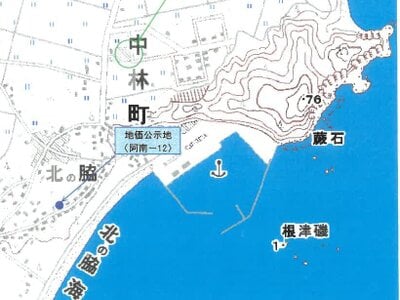 徳島県阿南市 見能林駅26分 農地 31万円の競売物件 #1