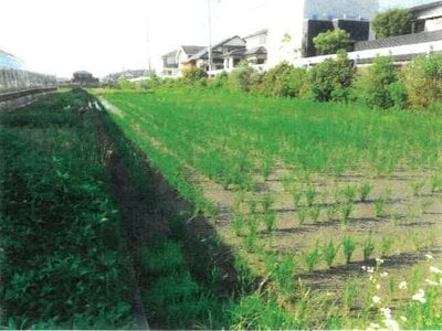 徳島県阿南市 見能林駅26分 農地 31万円の競売物件 #3