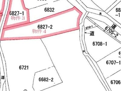 山梨県南巨摩郡南部町 井出駅28分 土地 107万円の競売物件 #22