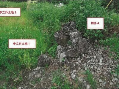 山梨県南巨摩郡南部町 井出駅28分 土地 107万円の競売物件 #3