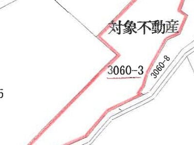 長野県中野市 替佐駅10分 土地 35万円の競売物件 #5