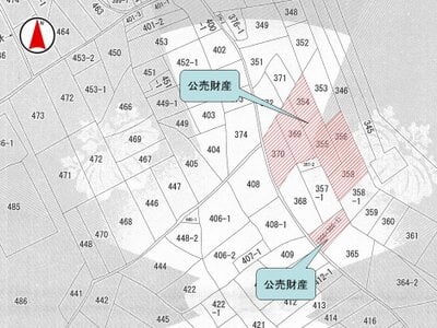 (値下げ) 滋賀県甲賀市 勅旨駅4分 農地 116万円の国税庁公売物件 #4