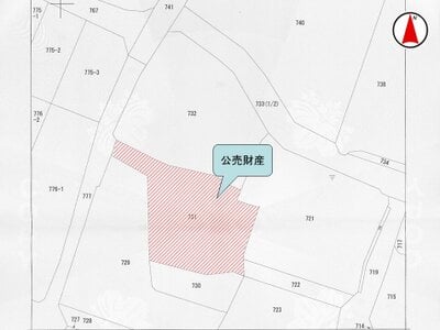 富山県魚津市 電鉄魚津駅 一戸建て 128万円の国税庁公売物件 #2