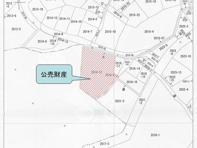 奈良県生駒市 宝山寺駅6分 土地 197万円の国税庁公売物件 #5