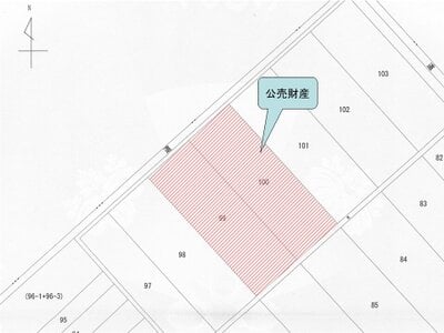 兵庫県豊岡市 コウノトリの郷駅17分 土地 249万円の国税庁公売物件 #4