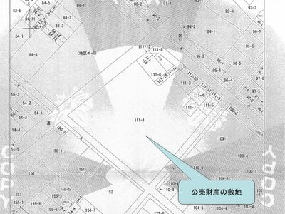 大阪府岸和田市 岸和田駅6分 一戸建て 536万円の国税庁公売物件 #2