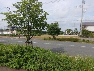 千葉県柏市 柏の葉キャンパス駅8分 土地 6,370万円の国有財産物件 #1