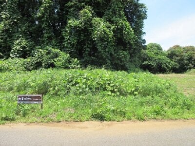 (値下げ) 千葉県山武市 日向駅30分 土地 22万円の国税庁公売物件 #1