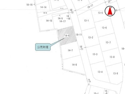 (値下げ) 千葉県山武市 日向駅30分 土地 22万円の国税庁公売物件 #2