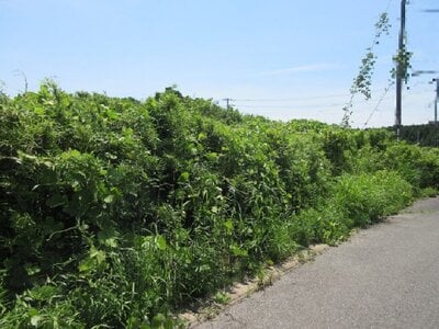 (値下げ) 千葉県山武市 日向駅28分 土地 50万円の国税庁公売物件 #1