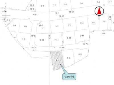 (値下げ) 千葉県山武市 日向駅30分 土地 77万円の国税庁公売物件 #3