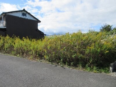 (値下げ) 岐阜県大垣市 友江駅22分 土地 122万円の国税庁公売物件 #1