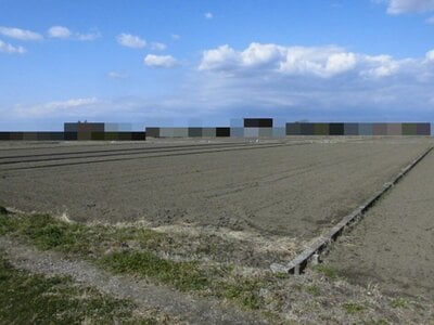 (値下げ) 千葉県大網白里市 福俵駅 農地 13万円の国税庁公売物件 #1