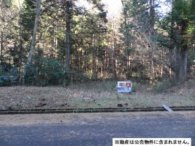 (値下げ) 栃木県塩谷郡塩谷町 矢板駅 土地 31万円の国税庁公売物件 #1