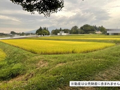 (値下げ) 山梨県北杜市 日野春駅 農地 60万円の国税庁公売物件 #1