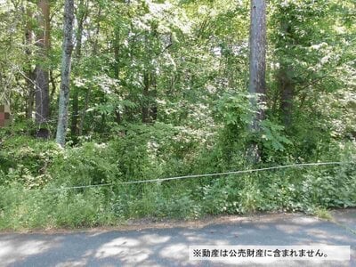 長野県諏訪郡原村 富士見駅 土地 110万円の国税庁公売物件 #1