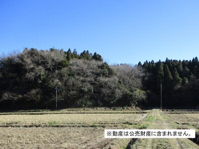 (値下げ) 千葉県香取郡神崎町 下総神崎駅 土地 170万円の国税庁公売物件 #1