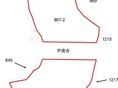 (値下げ) 千葉県香取郡神崎町 下総神崎駅 土地 170万円の国税庁公売物件 #3