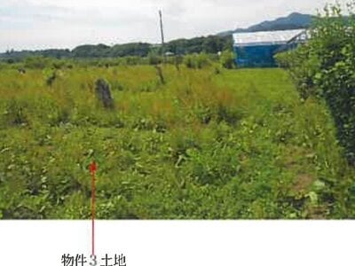 青森県三戸郡南部町 諏訪ノ平駅10分 農地 149万円の競売物件 #6