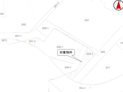 (値下げ) 埼玉県秩父市 大野原駅28分 農地 9万円の国税庁公売物件 #3