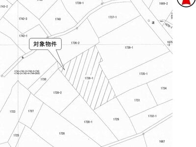 茨城県牛久市 牛久駅24分 農地 16万円の国税庁公売物件 #3