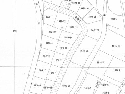 (値下げ) 埼玉県比企郡ときがわ町 明覚駅 土地 17万円の国税庁公売物件 #2