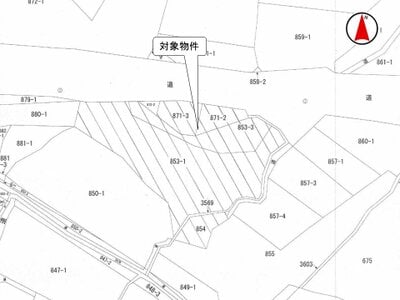 (値下げ) 長野県佐久市 信濃追分駅 農地 33万円の国税庁公売物件 #3