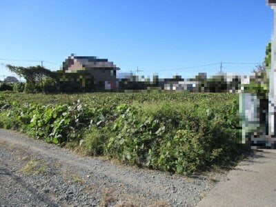 (値下げ) 群馬県太田市 藪塚駅 農地 41万円の国税庁公売物件 #1