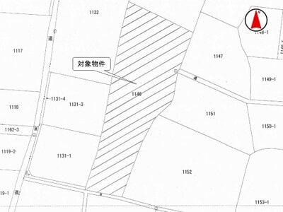 (値下げ) 群馬県高崎市 倉賀野駅19分 農地 78万円の国税庁公売物件 #3