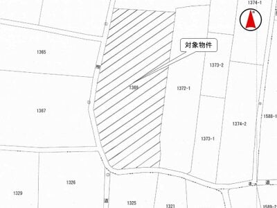 (値下げ) 群馬県高崎市 倉賀野駅20分 農地 87万円の国税庁公売物件 #3