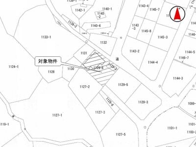 群馬県富岡市 上州七日市駅11分 土地 136万円の国税庁公売物件 #1