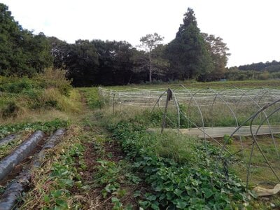 茨城県鉾田市 新鉾田駅23分 農地 252万円の国税庁公売物件 #1