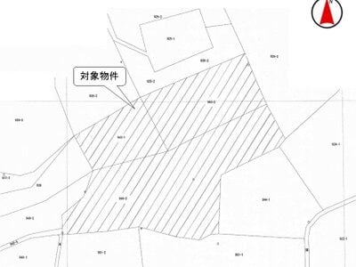 茨城県鉾田市 新鉾田駅23分 農地 252万円の国税庁公売物件 #5