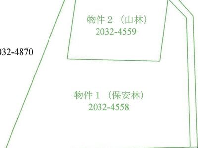 群馬県吾妻郡長野原町 大前駅 土地 7万円の競売物件 #1