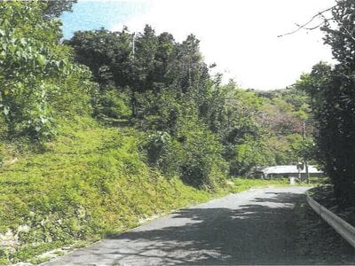 沖縄県国頭郡今帰仁村 土地 167万円の競売物件 #5