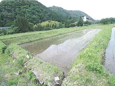 (値下げ) 石川県加賀市 牛ノ谷駅 農地 24万円の競売物件 #4