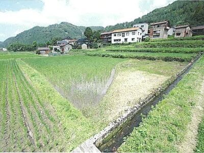 (値下げ) 石川県加賀市 牛ノ谷駅 農地 22万円の競売物件 #4