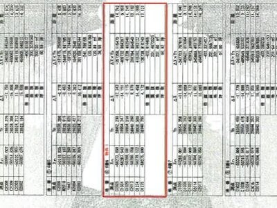 岩手県紫波郡紫波町 日詰駅15分 一戸建て 1,333万円の競売物件 #13