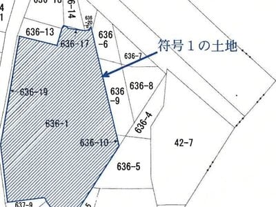 東京都墨田区 八広駅5分 マンション「東和パークハイツ墨田」1,409万円の競売物件 #5