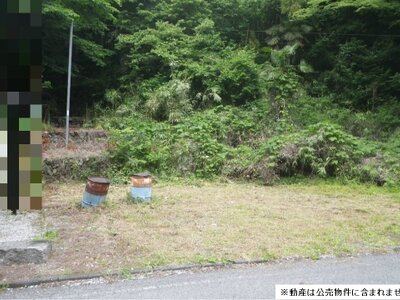 (値下げ) 埼玉県秩父郡皆野町 皆野駅 土地 33万円の国税庁公売物件 #1