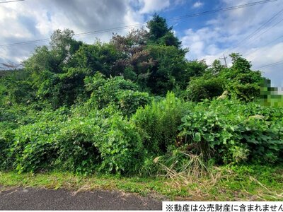 (値下げ) 栃木県那須郡那須町 黒田原駅 土地 34万円の国税庁公売物件 #2