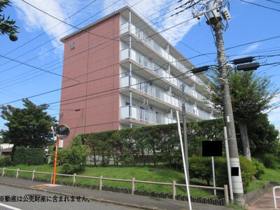 神奈川県伊勢原市 愛甲石田駅18分 マンション「東高森団地」290万円の国税庁公売物件 #2