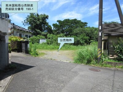 (値下げ) 宮崎県都城市 日向庄内駅26分 土地 100万円の国税庁公売物件 #2