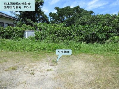 (値下げ) 宮崎県都城市 日向庄内駅26分 土地 100万円の国税庁公売物件 #3